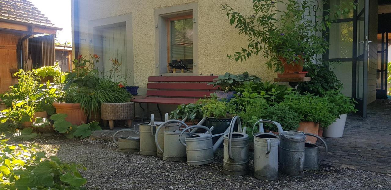 Blue Wall Bnb Gebenstorf Exterior photo