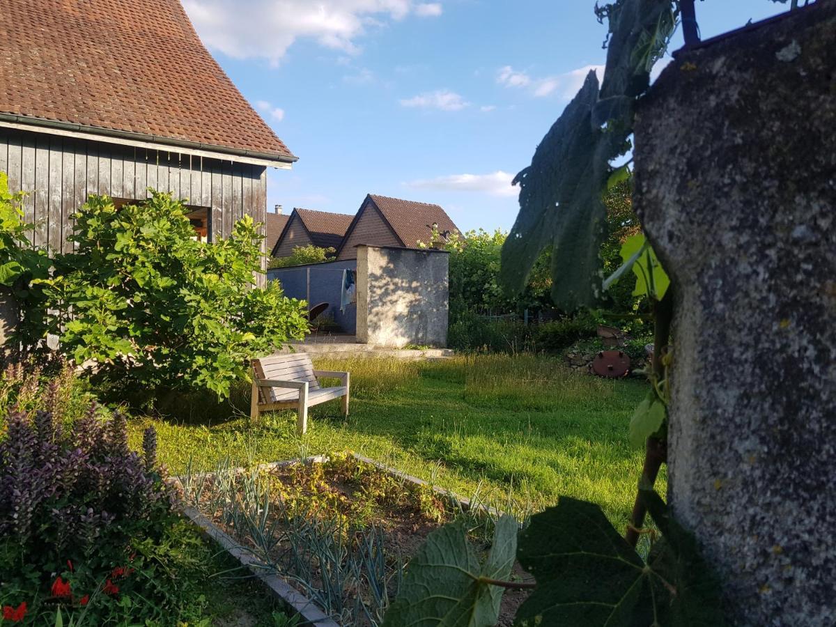 Blue Wall Bnb Gebenstorf Exterior photo