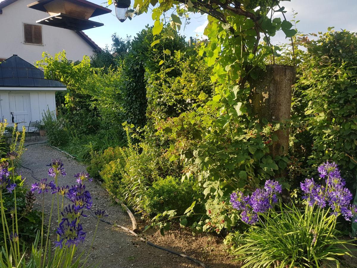 Blue Wall Bnb Gebenstorf Exterior photo