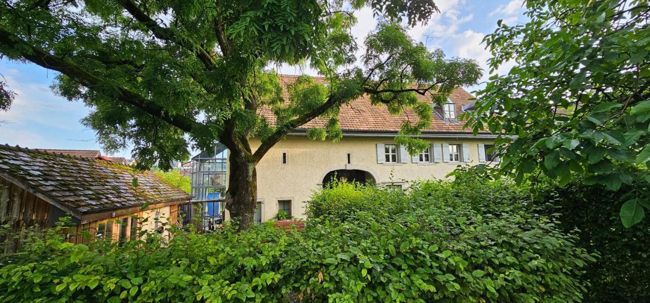 Blue Wall Bnb Gebenstorf Exterior photo